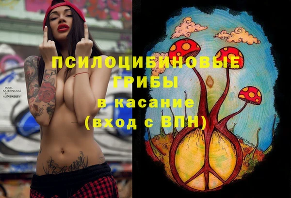 прущая мука Богородицк