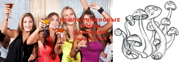 прущая мука Богородицк