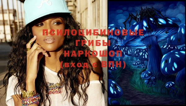 стафф Богданович