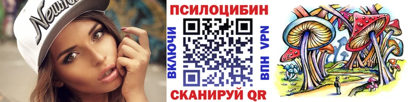 мега ТОР  что такое   Боровичи  Псилоцибиновые грибы Psilocybe 