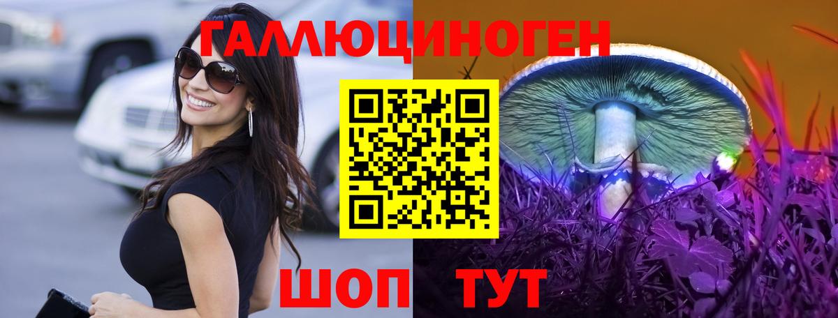 Псилоцибиновые грибы Psilocybe Боровичи